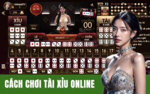 Hướng Dẫn Cách Chơi Tài Xỉu Online Cực Chuẩn Tại HO88