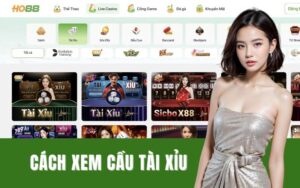 Cách Xem Cầu Tài Xỉu