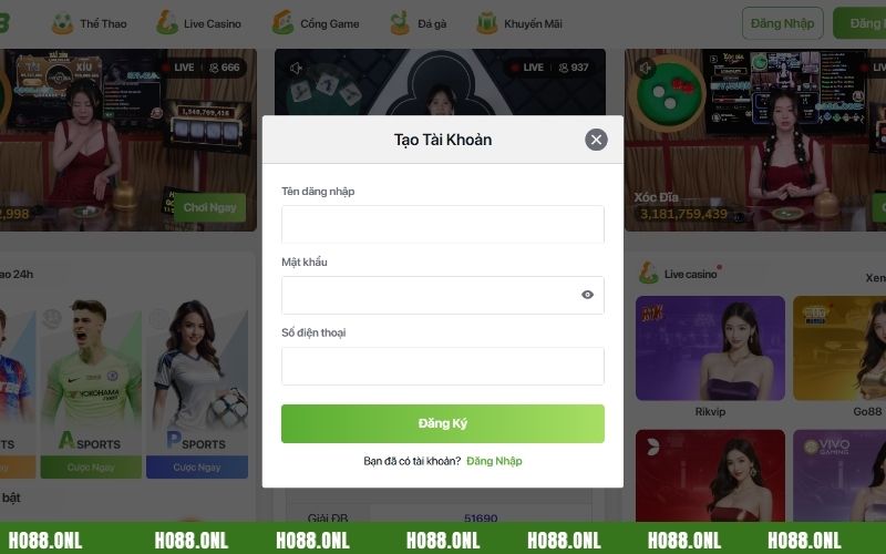 Điền các thông tin đăng ký Ho88 theo yêu cầu của biểu mẫu