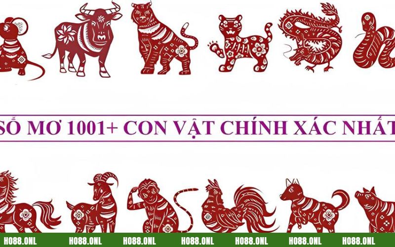 Khám phá những giấc mơ về các vật thể từ 40 - 59