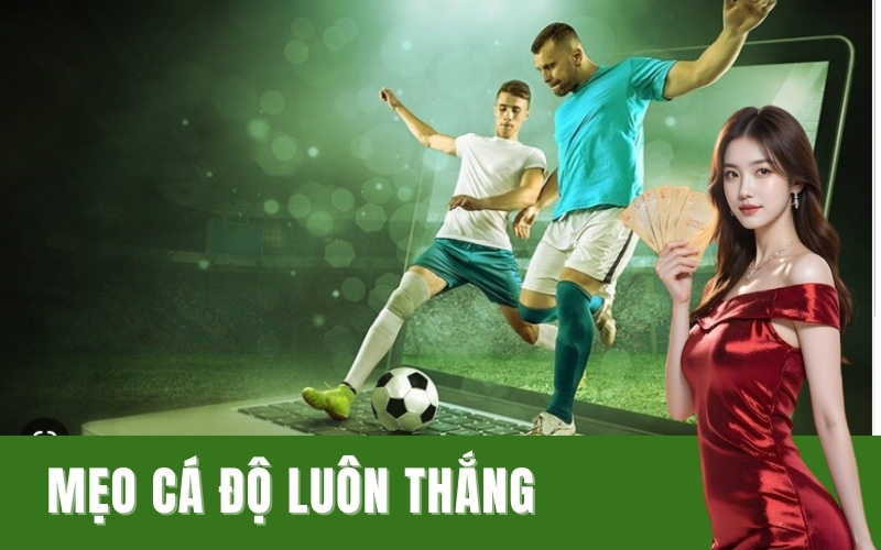 mẹo cá độ luôn thắng