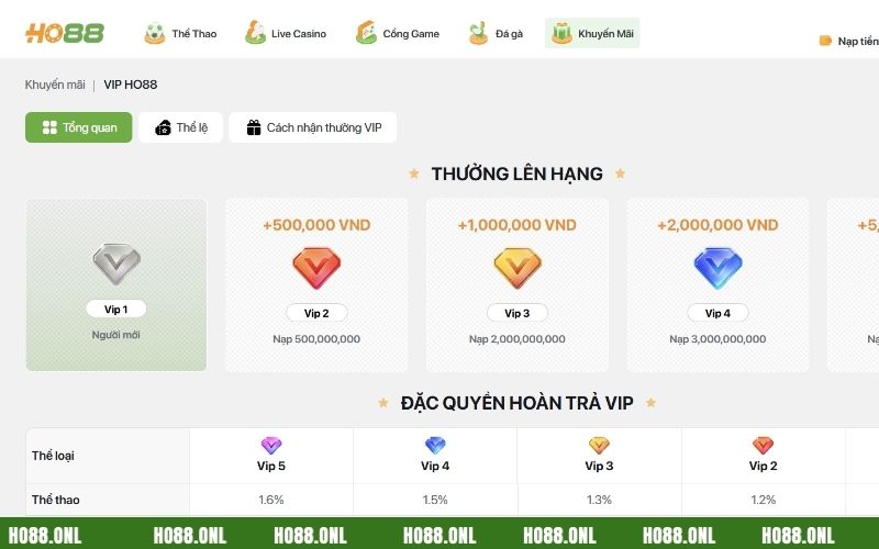 Truy cập trang web chính thức để tham gia sự kiện một cách an toàn